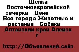 Щенки Восточноевропейской овчарки › Цена ­ 25 000 - Все города Животные и растения » Собаки   . Алтайский край,Алейск г.